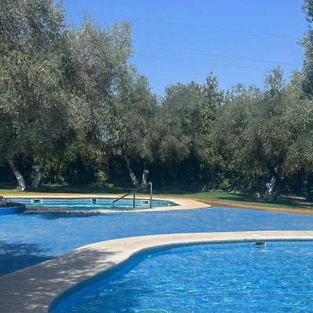 Apartamento A 8Km Sevilla Centro Валенсіна-де-ла-Консепсьйон Екстер'єр фото