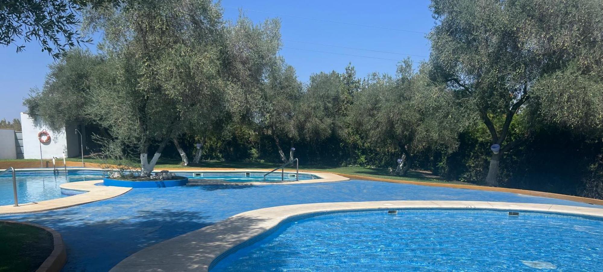 Apartamento A 8Km Sevilla Centro Валенсіна-де-ла-Консепсьйон Екстер'єр фото